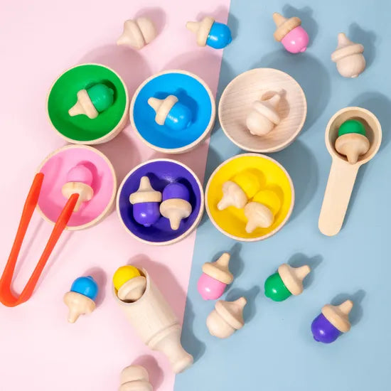 Colour Classify Toys - 29 Pieces