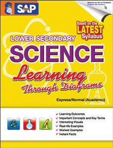Lower Secondary Science Learning Through Diagrams