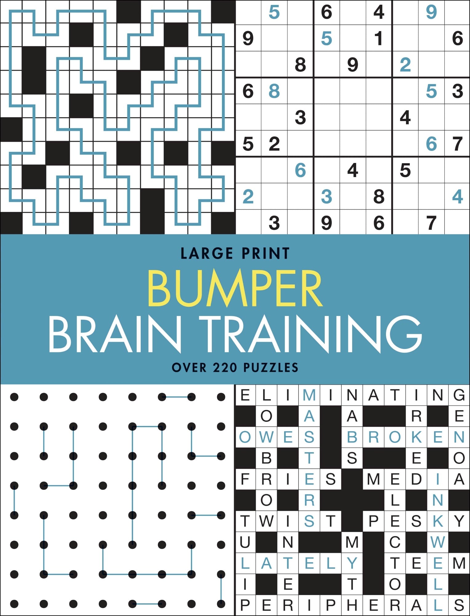 Large Print Bumper Puzzle Book - Brain Training (blue banner) — inside page 2