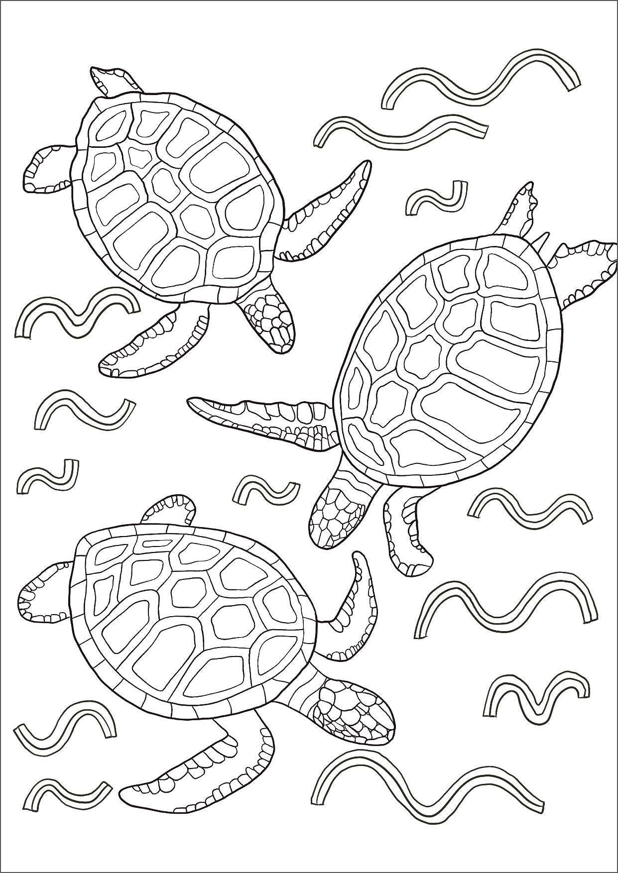 Mindful Colouring - Amazing Animals — inside page 3