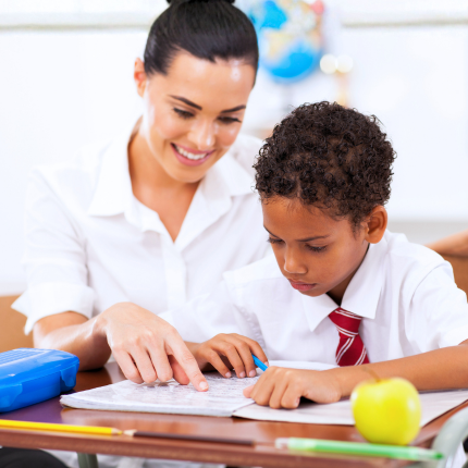 Primary Teacher Books