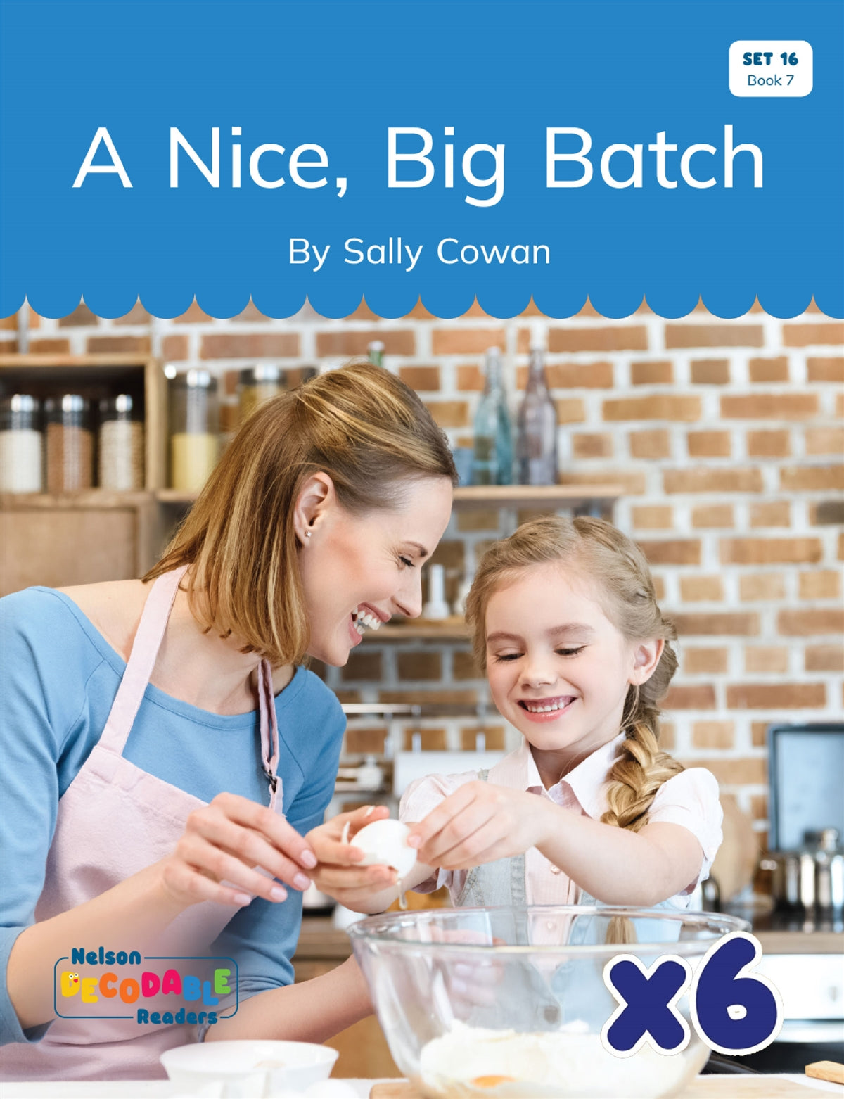A Nice, Big Batch x 6 (Set 16, Book 7)