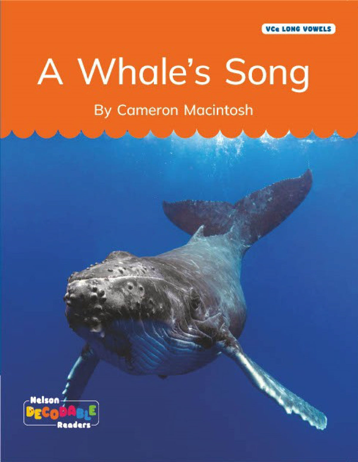 A Whale's Song (VCe Long Vowels)