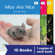 Nelson Decodable Readers Set 16 Soft c & g / Trigraphs / Jobs of y Set Pack x 10