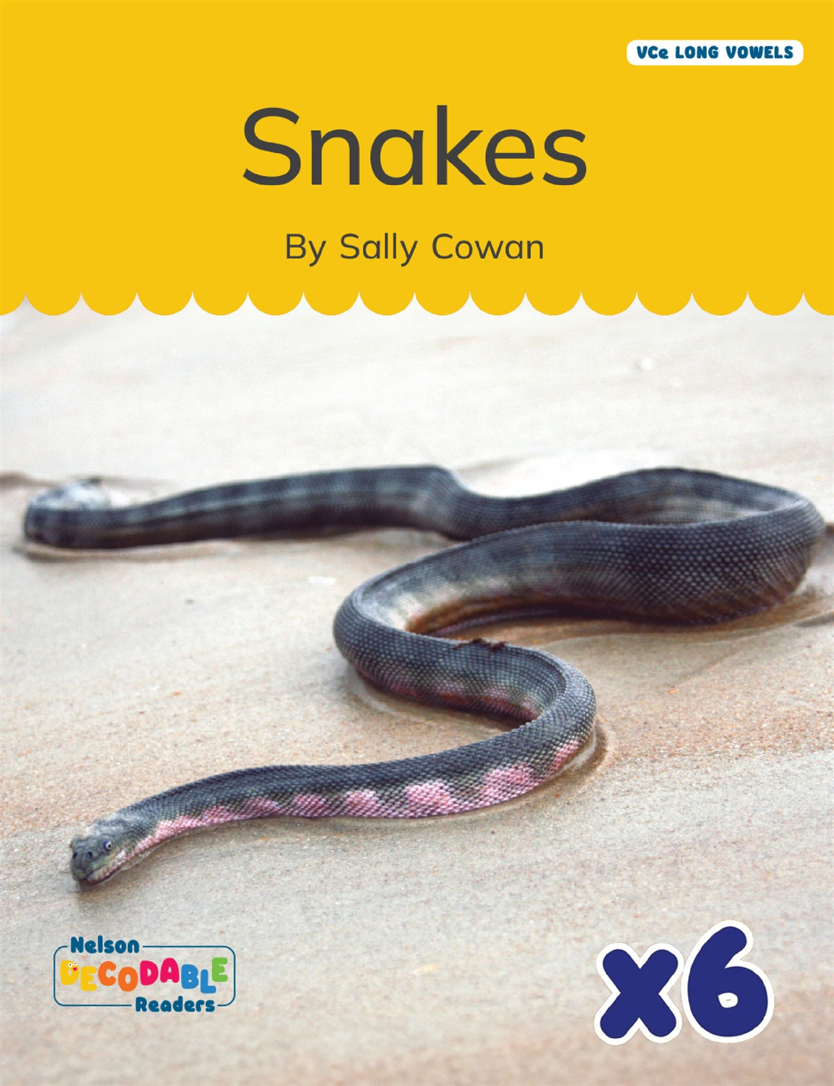 Snakes x 6 (VCe Long Vowels)