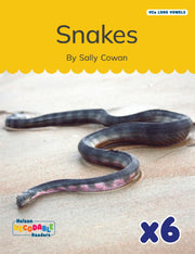Snakes x 6 (VCe Long Vowels)