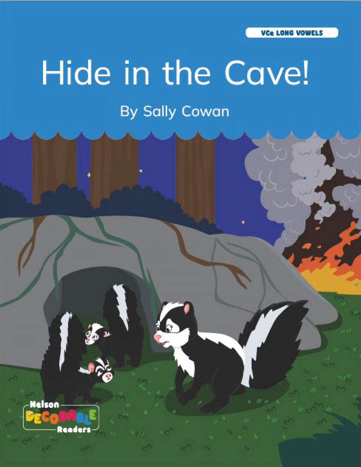 Hide in the Cave! (VCe Long Vowels)