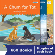 Nelson Decodable Readers Sets 15-20 + Supplemental Pack x660