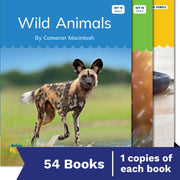 Nelson Decodable Readers Sets 15-20 + Supplemental Non-Fiction Pack x54