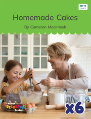 Homemade Cakes x 6 (Set 15, Book 9)