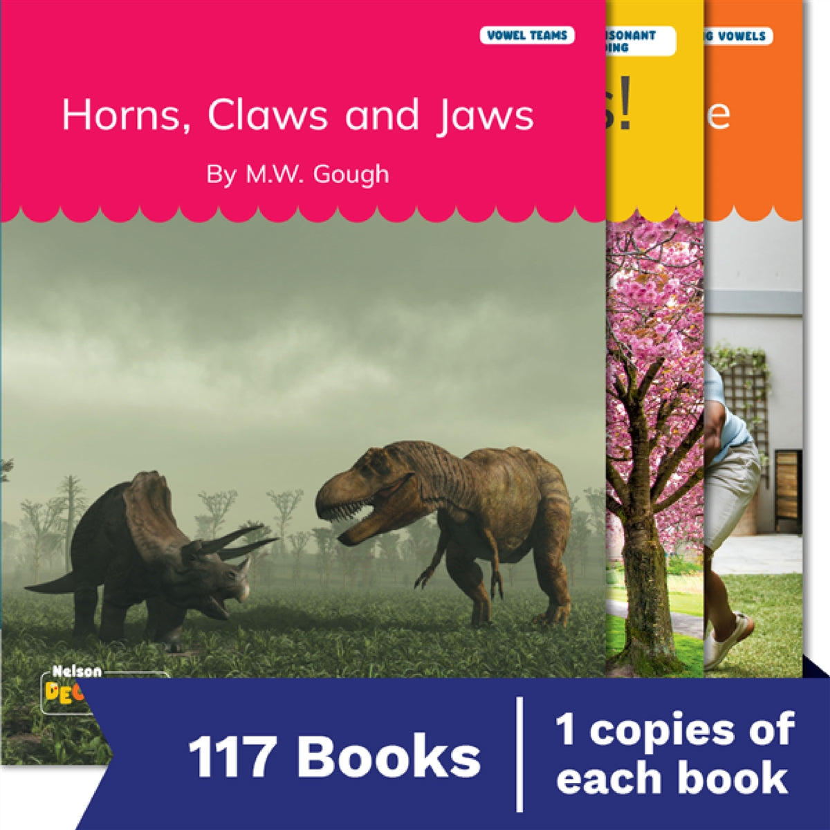 Nelson Decodable Readers Sets 1-20 + Supplemental Non-Fiction Pack x117