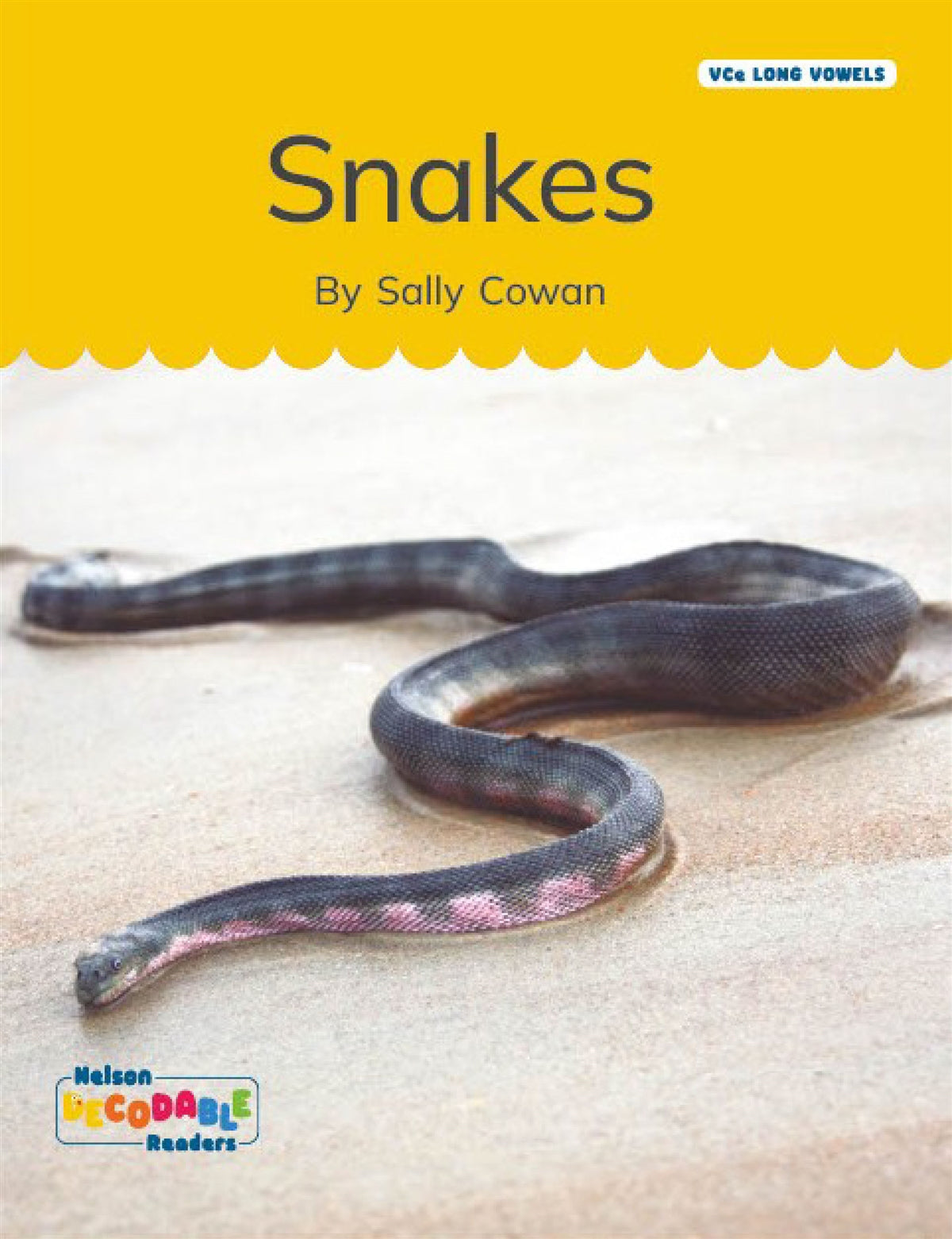 Snakes (VCe Long Vowels)