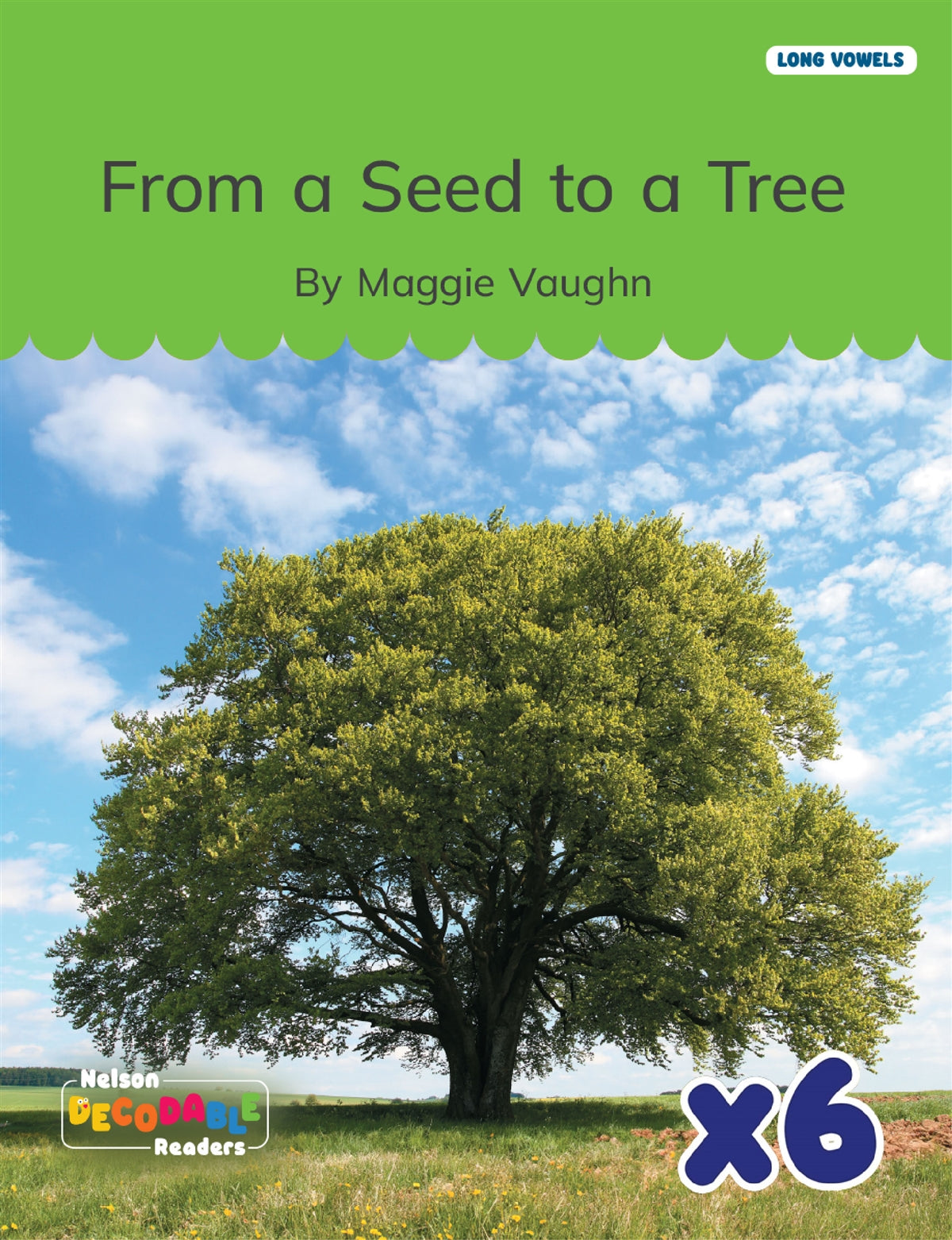 From a Seed to a Tree x 6 (Long Vowels Alternative Spellings)