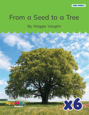 From a Seed to a Tree x 6 (Long Vowels Alternative Spellings)