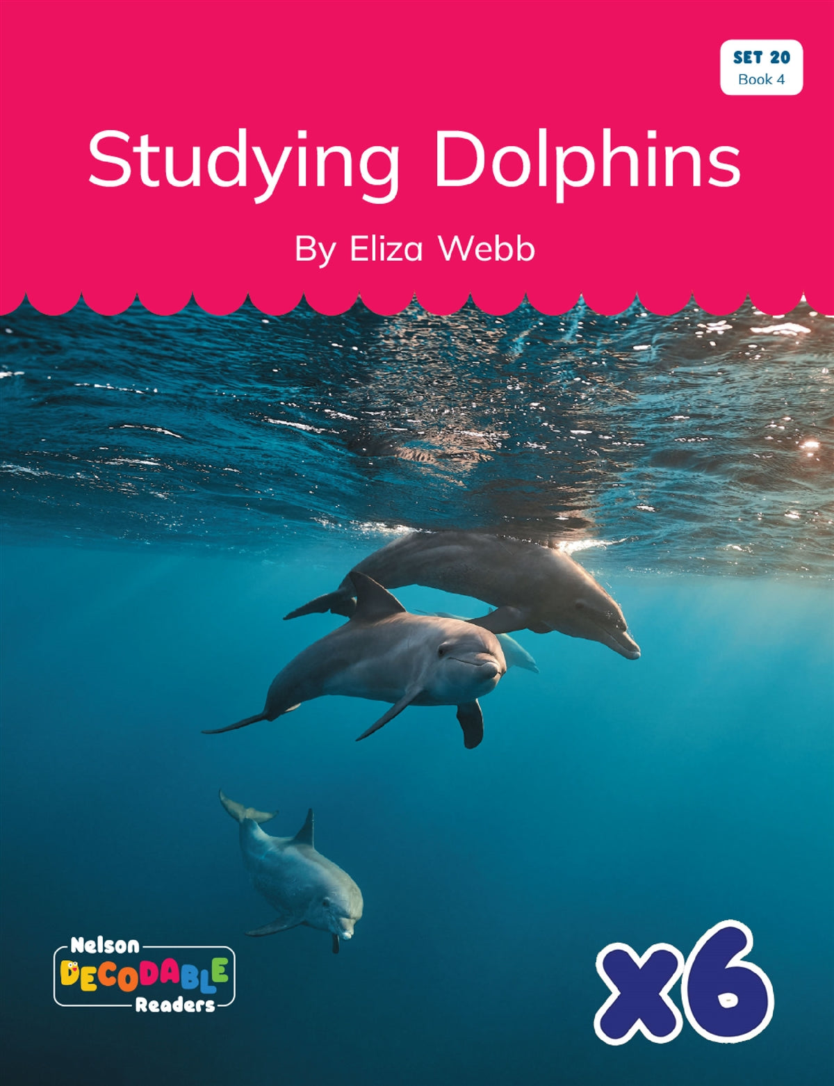 Studying Dolphins x 6 (Set 20, Book 4)
