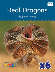 Real Dragons x 6 (Set 18, Book 8)