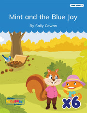 Mint and the Blue Jay x 6 (Long Vowels Alternative Spellings)