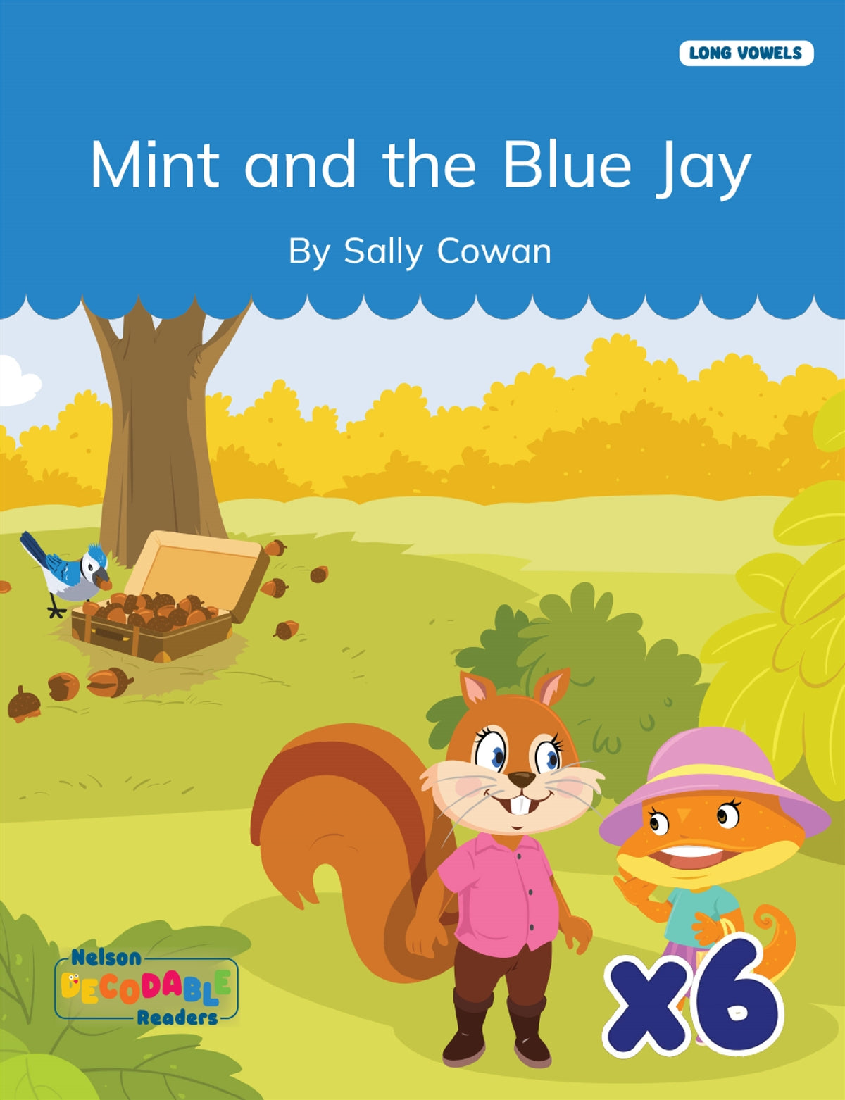Mint and the Blue Jay x 6 (Long Vowels Alternative Spellings)
