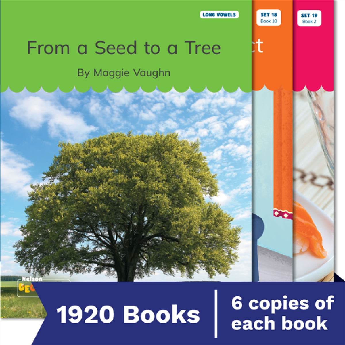 Nelson Decodable Readers Sets 1-20 + Supplemental Classroom Pack x1920