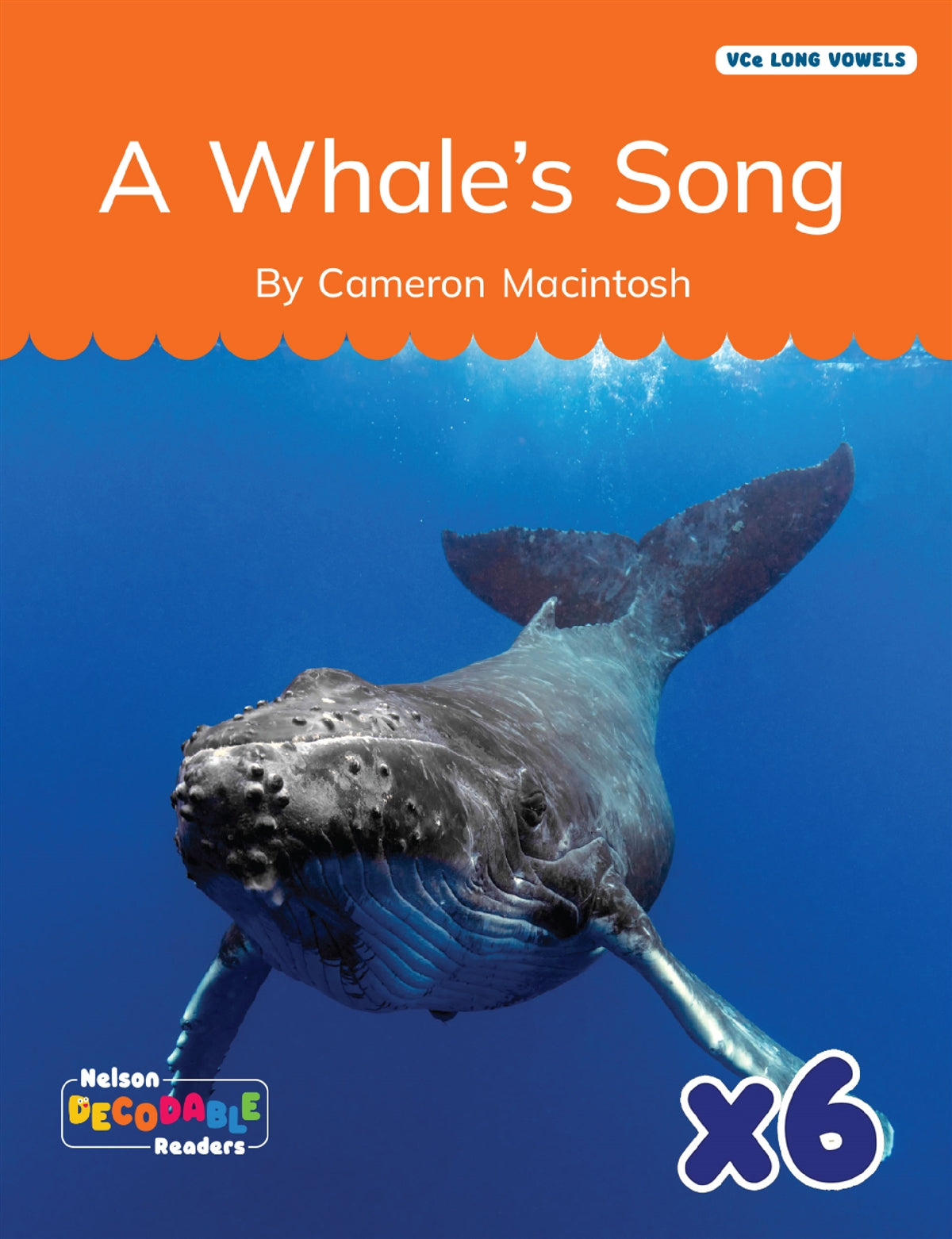 A Whale's Song x 6 (VCe Long Vowels)