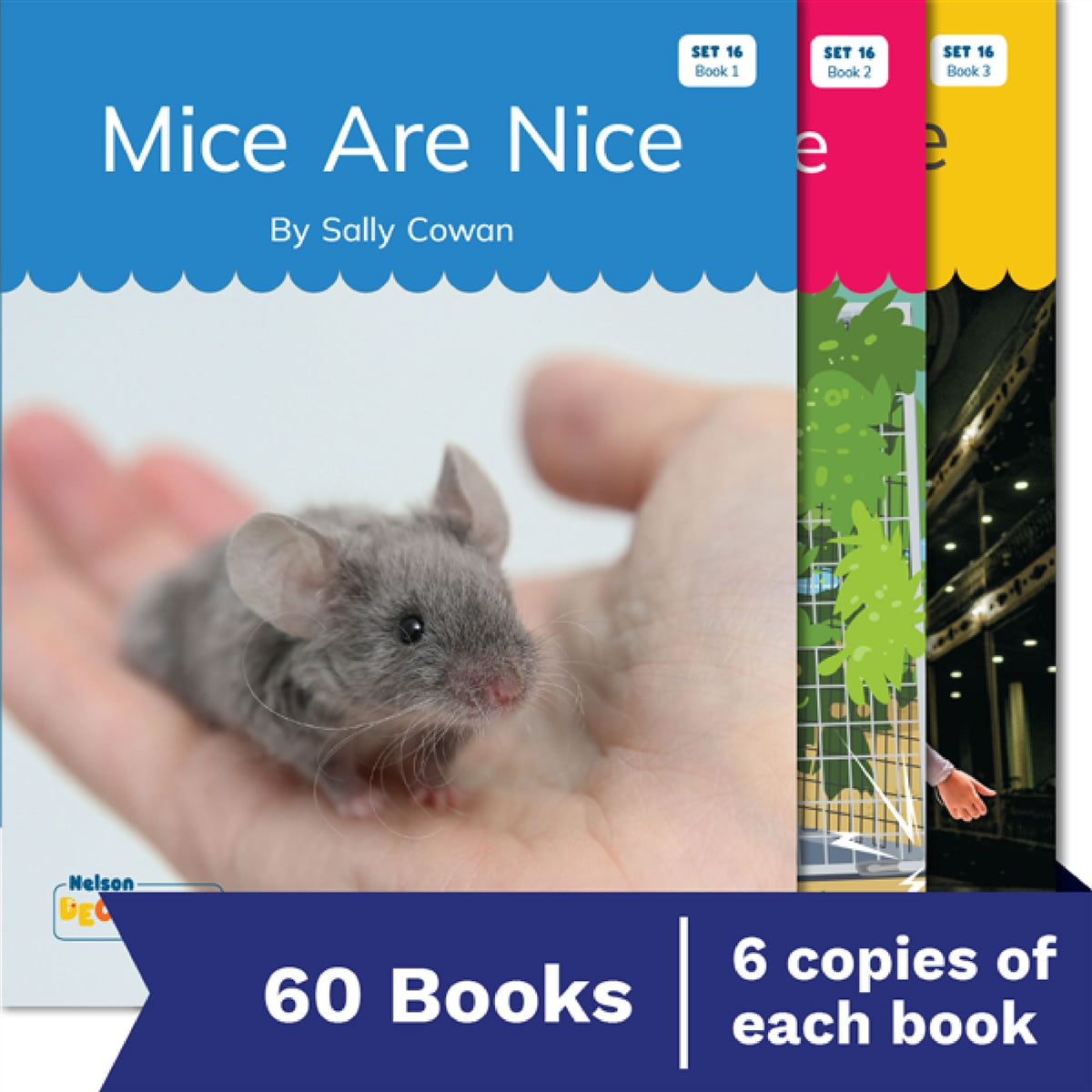 Nelson Decodable Readers Set 16 Soft c & g / Trigraphs / Jobs of y Small Group Pack X 60