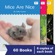 Nelson Decodable Readers Set 16 Soft c & g / Trigraphs / Jobs of y Small Group Pack X 60