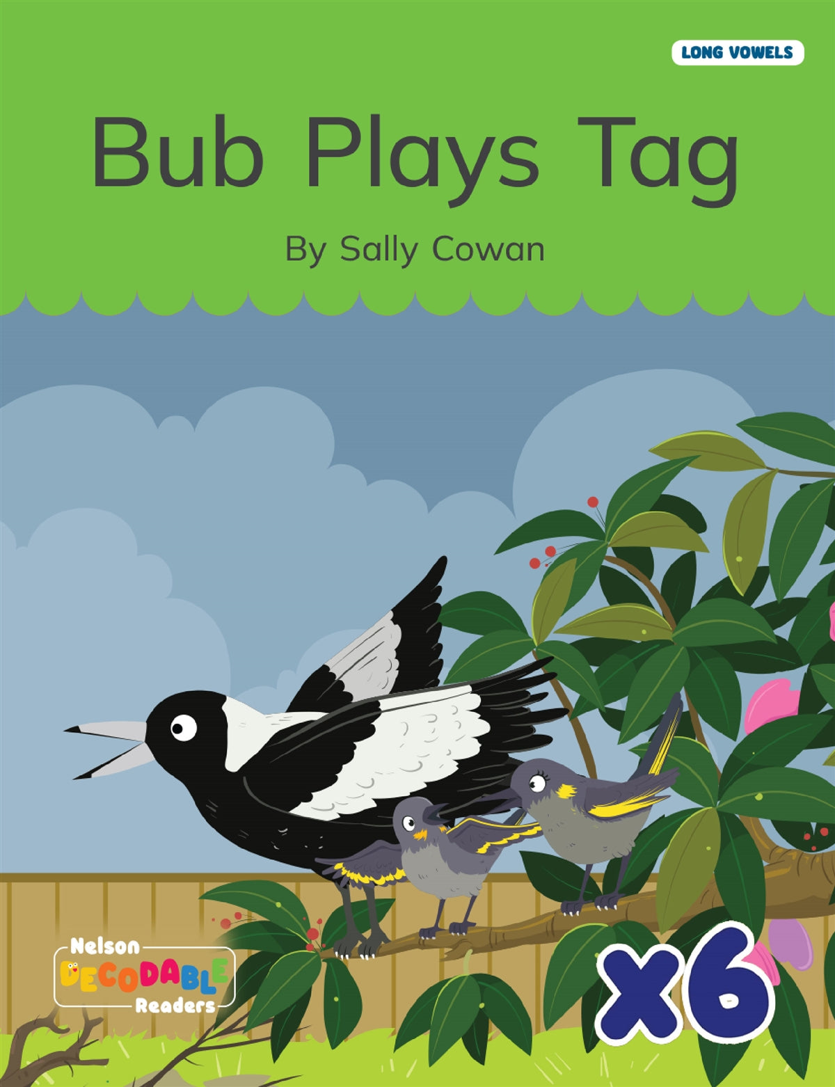 Bub Plays Tag x 6 (Long Vowels Alternative Spellings)