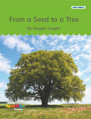 From a Seed to a Tree (Long Vowels Alternative Spellings)
