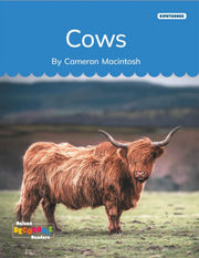 Cows (Diphthongs)