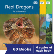 Nelson Decodable Readers Set 18 Syllable Division Small Group Pack X 60
