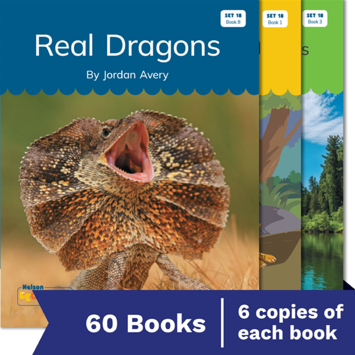 Nelson Decodable Readers Set 18 Syllable Division Small Group Pack X 60