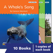 Nelson Decodable Readers VCe Long Vowels Set Pack x 10