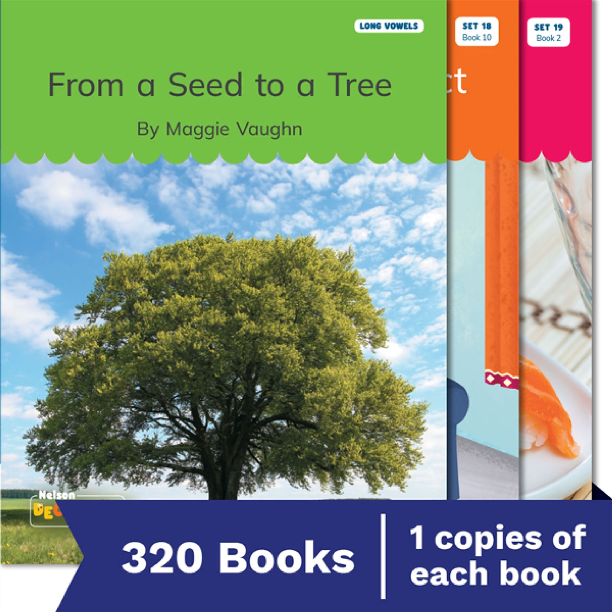 Nelson Decodable Readers Sets 1-20 + Supplemental Classroom Pack x320