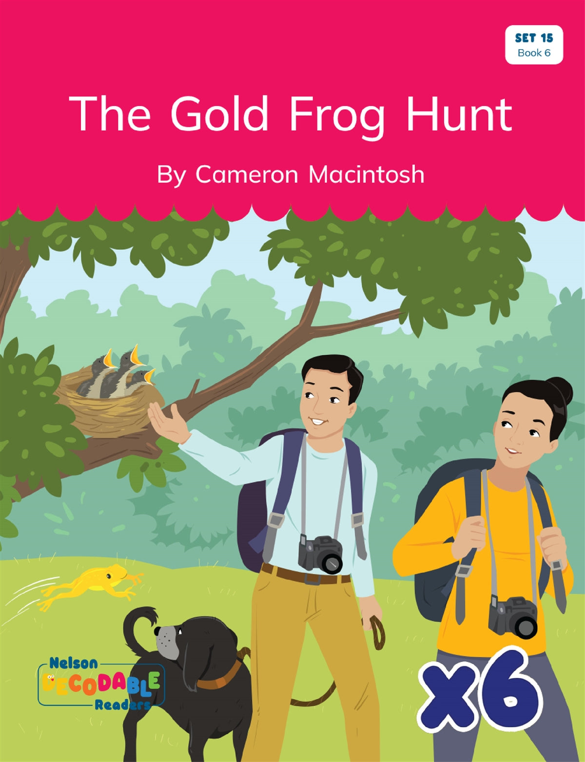 The Gold Frog Hunt x 6 (Set 15, Book 6)