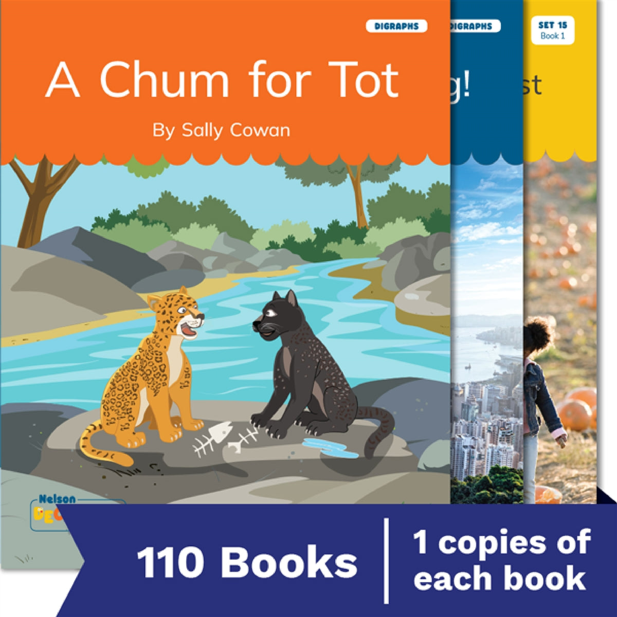 Nelson Decodable Readers Sets 15-20 + Supplemental pack x110
