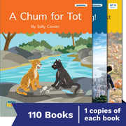 Nelson Decodable Readers Sets 15-20 + Supplemental pack x110