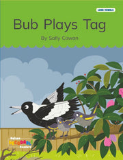 Bub Plays Tag (Long Vowels Alternative Spellings)