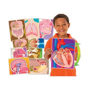 My Body In Action - Set of 10 Cards