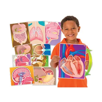 My Body In Action - Set of 10 Cards