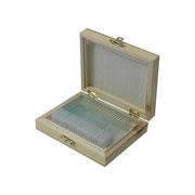 Slide Set - Biology Basic - Set of 25