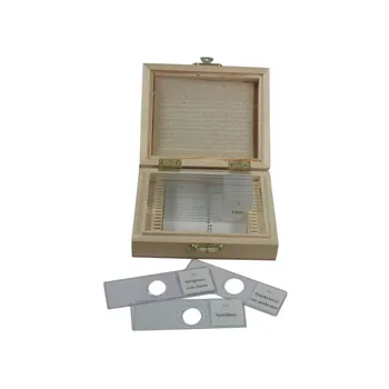 Slide Set - Mixed Bacteria - Set of 12 - view 2