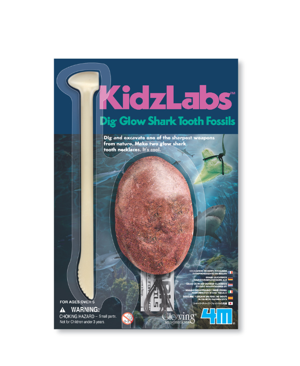4M KidzLabs - Shark Tooth Fossil