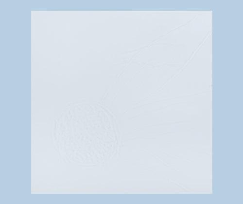 Acrylic Base 10 x 10cm Clear - Pack of 5
