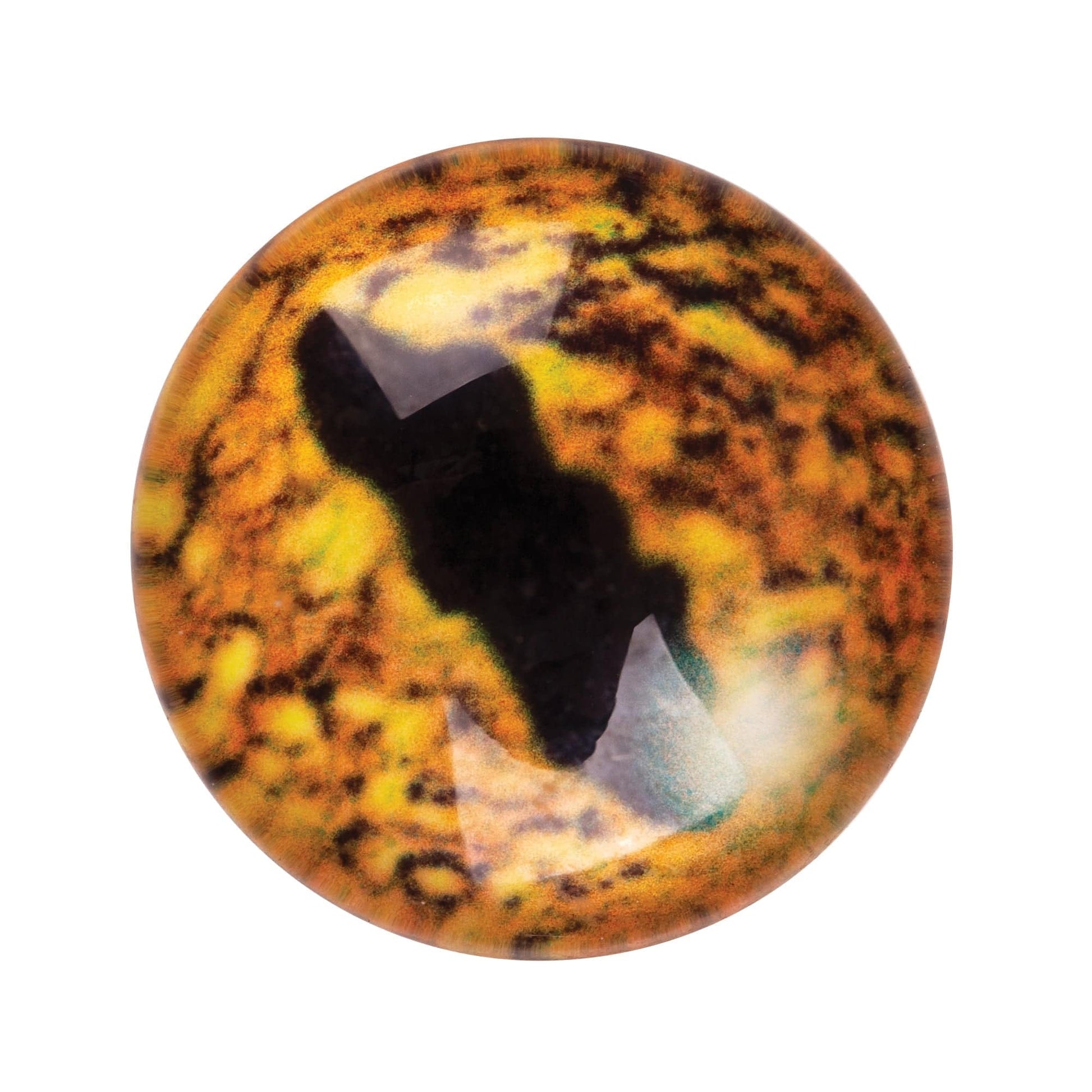 Reptile Eyes 15mm - Pack of 30