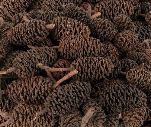 Bud Cones (220g)