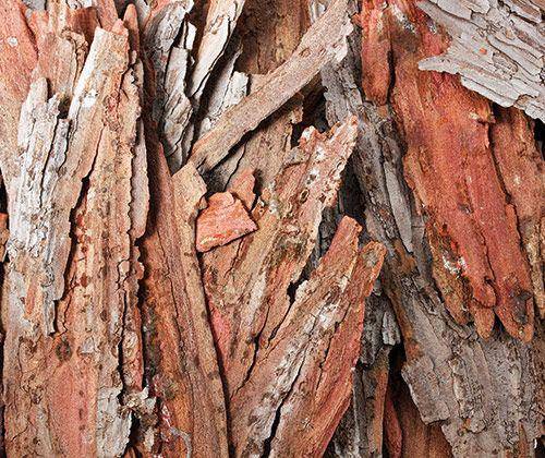Bark Pieces (250g)
