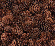 Pine Cones - Mini (190g)