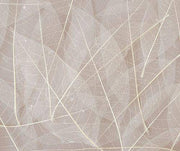 Skeleton Leaves - Natural (Pack of 100) - CLEARANCE