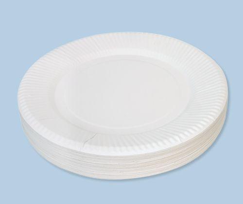 Paper Plate