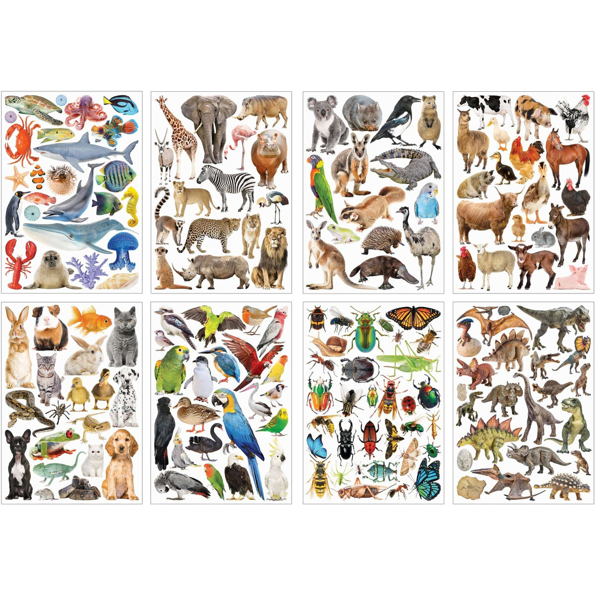 Collage Collections Pack of 40